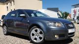 Audi A3 Sportback 1.6 FSI Ambition#Klima#Temp#PDC#AHK - Audi A3 aus 2006: Sportback