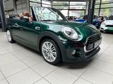 MINI COOPER Cabrio Automatik*Bluetooth*USB,*SHZ,*NAVI - : Cabrio, Us