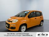 Fiat Panda Easy 1.2 5-Türer Klima 2.Hand wenig KM