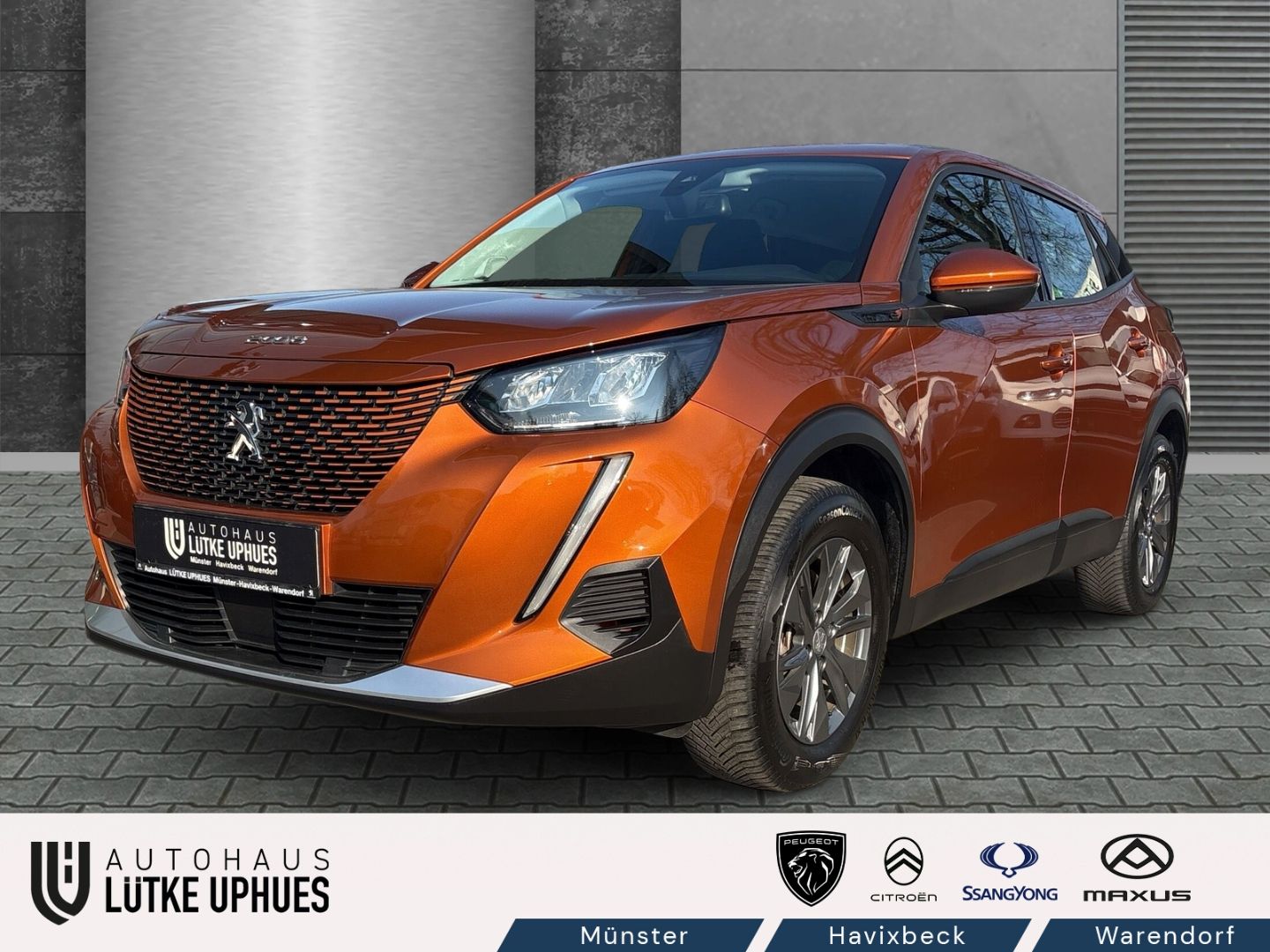 Peugeot 2008 Active Pack Elektro 136 Navi DAB SHZ