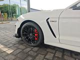 Ford Mustang GT500 Shelby look, 5.0 - Ford: Shelby