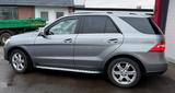 Mercedes-Benz ML 350 CDI BlueTec Ahk/Leder/Navi/Shd - Mercedes-Benz ML 350: Bluetec
