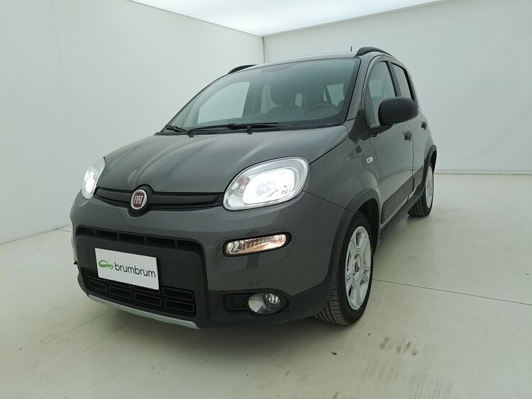 Image of Fiat Panda