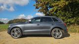 Audi SQ5 3.0 TFSI  - Audi SQ5 Gebrauchtwagen