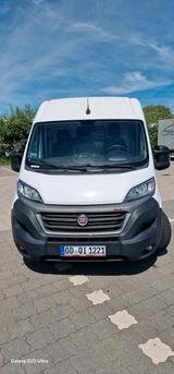 Fiat Transporter Fiat Ducato [van] - Fiat: Transporter