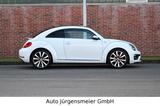 Volkswagen Beetle 1.4 TSI R-Line/19"/PDC/Shz/Leder/Bi-Xenon - gebrauchte VW Beetle aus dem Jahr 2014