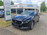 Mazda CX-30 - Mazda CX-30 Gebrauchtwagen in Dresden