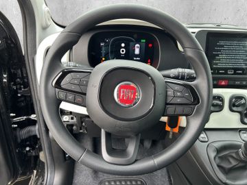 Fiat Panda 1.0 MHybrid Pandina Cross MY24 PDC CARPLAY