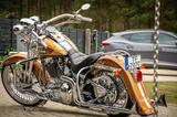 Harley-Davidson FLSTS Springer Chicano style