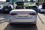 Audi A5 Cabriolet 40 TDI sport S Line LED Windschott - Audi A5: Cabrio, Line