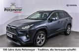 Toyota RAV4 Hybrid 4x2 Team Deutschland - Toyota RAV 4 Team-Deutschland
