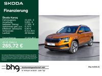 Skoda Karoq - Vorschau Bild 1
