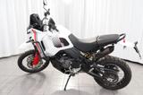 Ducati Desert X 950 - Angebote