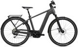 Vorschaubild Flyer Gotour 7.10 L Gents