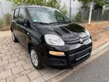 Fiat Panda Easy*City Life*Klima*Wenig KM*1Hand* - gebrauchte Fiat Panda aus dem Jahr 2019