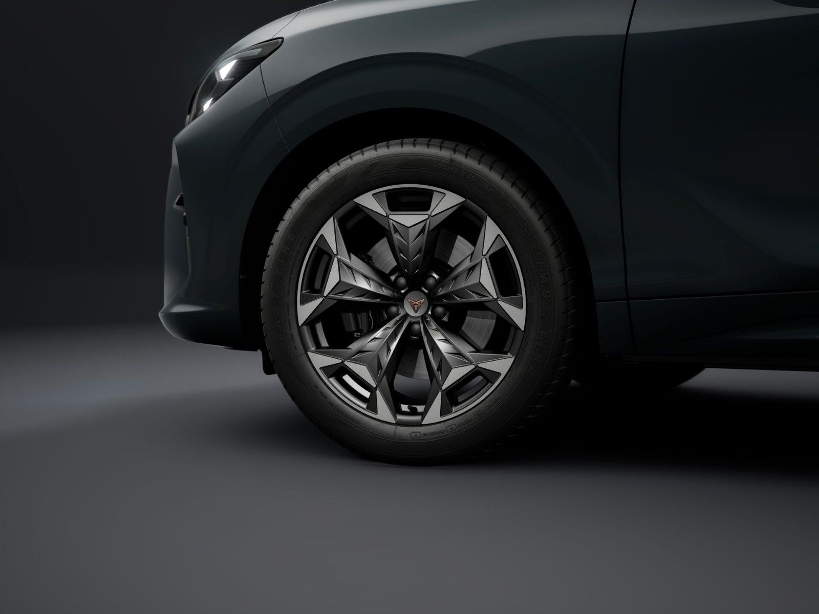 Cupra Terramar - Bild 4