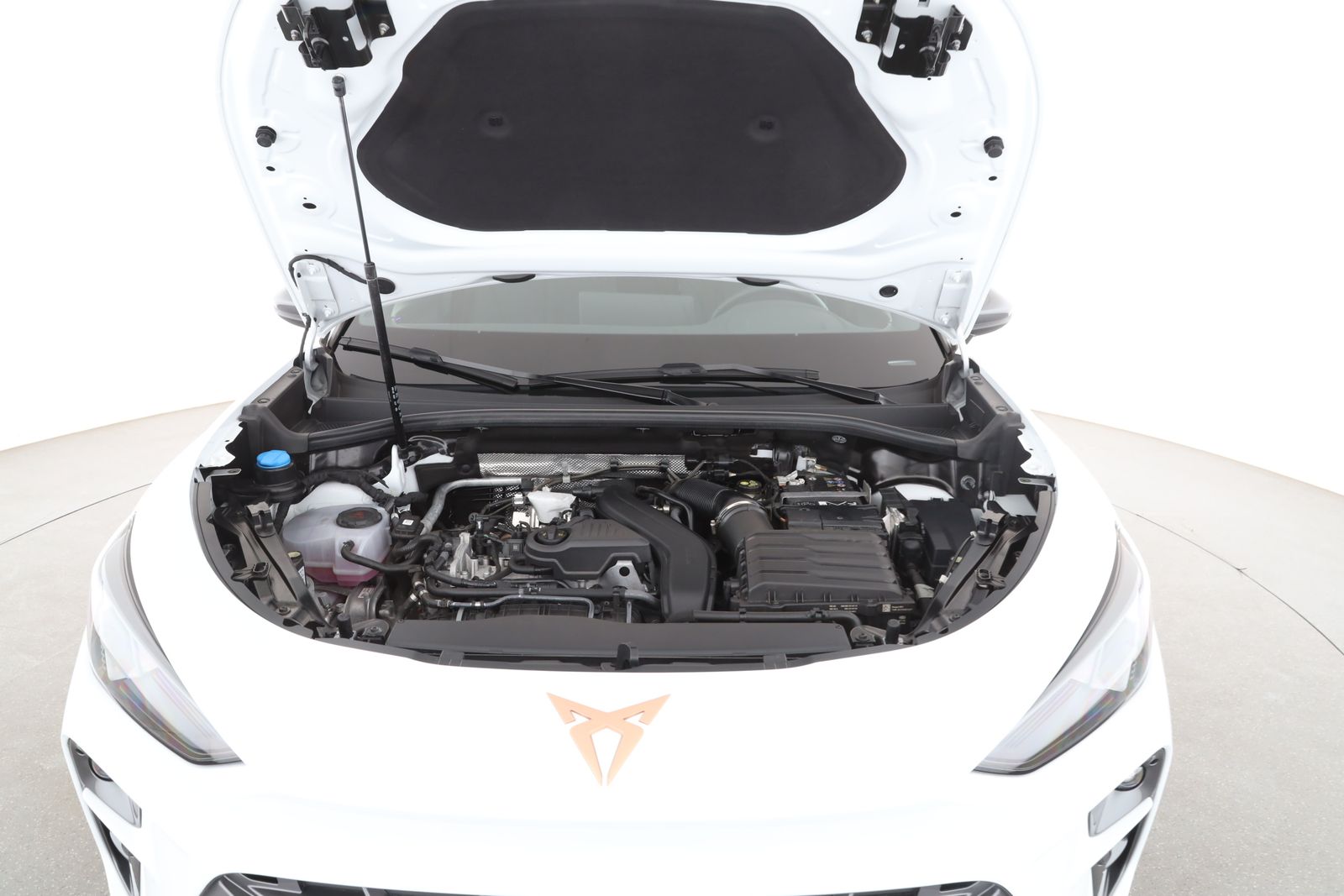 Cupra Terramar - Bild 8