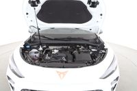 Cupra Terramar - Vorschau Bild 8