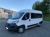 Fiat Ducato 2.3MJT 2020 9 Sitzer - Fiat Ducato: Kleinbus, Sitzer 9