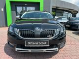 Skoda OCTAVIA Combi Scout  2,0l TSI 190PS DSG AHK - Skoda: Scout