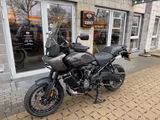 Harley-Davidson RA1250S Pan Am America Special  - HARLEY-DAVIDSON PAN AMERICA 1250