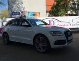 Audi SQ5 3.0 TDI quattro/Top Zustand/Pano/ACC/AHK - gebrauchte Audi SQ5 aus dem Jahr 2014