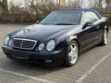 Mercedes-Benz CLK 200 K Cabrio*FINAL EDITION*AMG*AUTOM*LEDER*