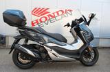Honda FORZA 300 *wie neu* - HONDA FORZA