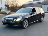 Mercedes-Benz E 300 CDI T BlueEFFICIENCY ELEGANCE ELEGANCE - Mercedes-Benz E-Klasse: 7 Sitzer