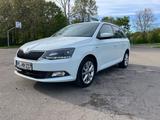 Skoda Fabia 1.4l TDI 66kW CLEVER CLEVER - Skoda Fabia mit Diesel-Antrieb: 1.6