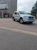 Mercedes-Benz ML 270 CDI  zuverlässiger S... - Mercedes-Benz ML 270 in Hannover