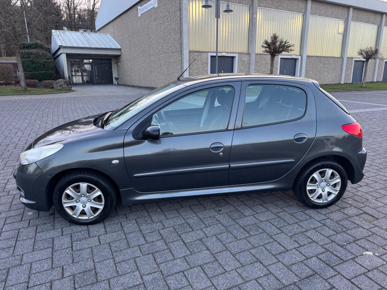 Peugeot 206 + Basis