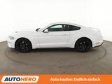 Ford Mustang 2.3 EcoBoost Basis*NAV*LED*ACC*CAM*PDC* - Ford Mustang: Ecoboost