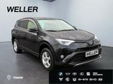 Toyota RAV 4 2.5 4x2 Hybrid Team D *LED*el Heck*Navi*CA - mit Hybrid-Antrieb: Geländewagen