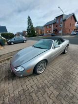 Jaguar XK8 Convertible - Jaguar mit LPG-Antrieb