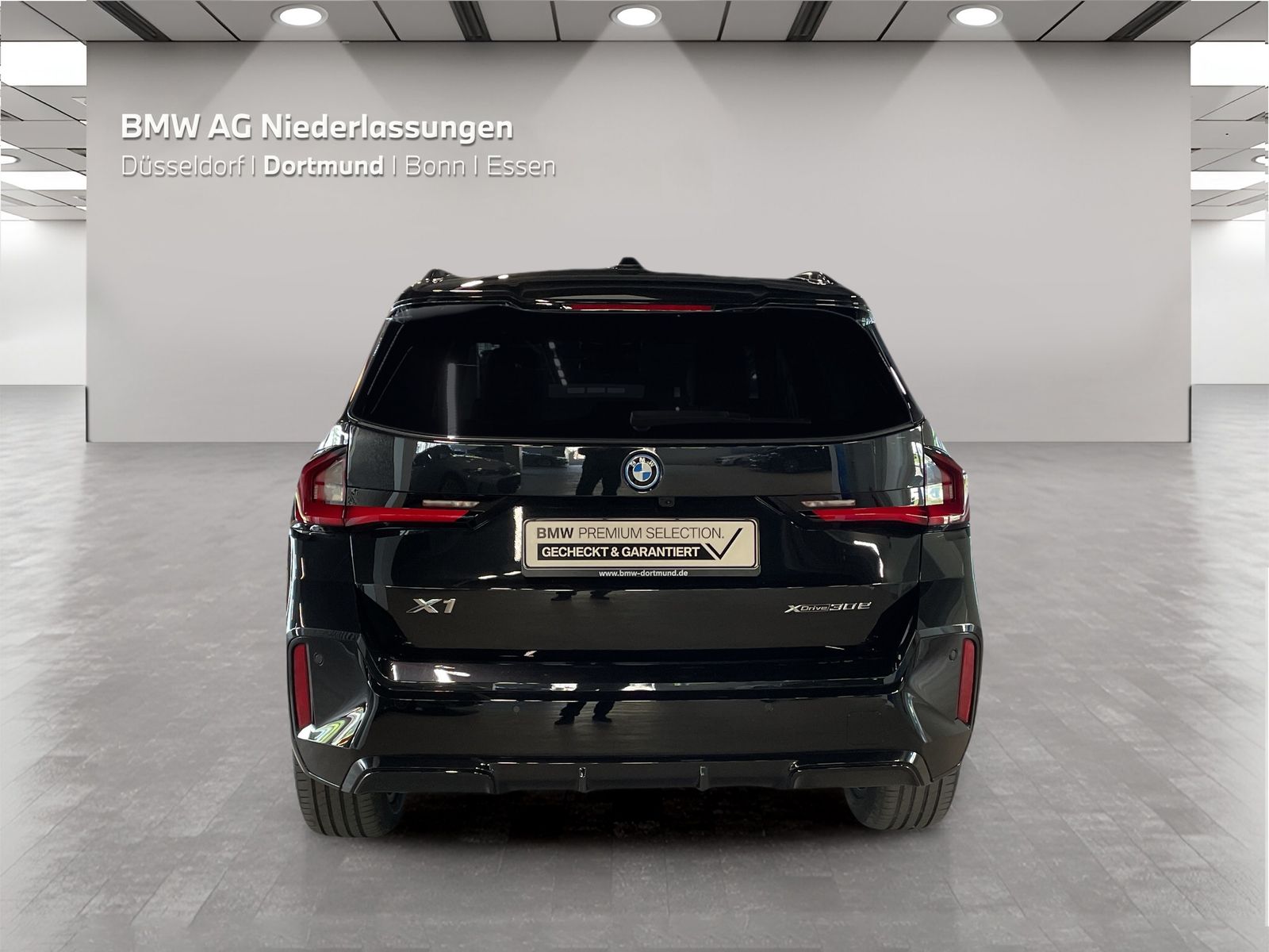 BMW X1 xDrive30e M Sport AHK Driv.Assist.Prof LED foto 10