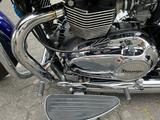 Triumph Bonneville America LT mit Riemenantrieb! - TRIUMPH MOTORRAD