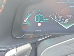 Fahrzeugabbildung DS Automobiles DS 7 1.6 E-Tense 225 EAT8 Performance Line + SHZ