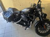 Harley-Davidson Sportster 883N XL Iron  - HARLEY-DAVIDSON 883 SPORTSTER XL IRON