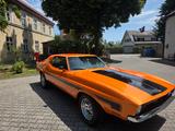 Ford Mustang - gebrauchte Ford Mustang aus dem Jahr 1971