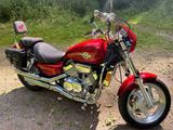 Honda Magna VF750C - Frisch lackiert, Extras - HONDA VF 750C
