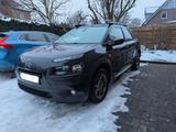 Citroën C4 Cactus PureTech 82 Shine Panorama Kamera