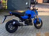 Honda MSX 125 GROM - HONDA MSX