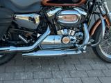 Harley-Davidson Sportster 1200 Low  - HARLEY-DAVIDSON 2008 SPORTSTER 1200