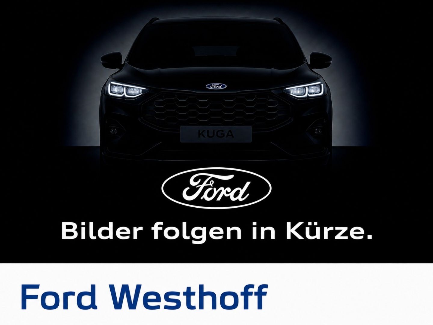 Ford Kuga Vignale PHEV AHK Panodach Navi Leder Kamera