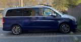 Mercedes-Benz V 250 d Aut. EDITION lang EDITION - Mercedes-Benz V 250 in Duisburg