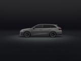 Cupra LEON ST 2.0 TDI DSG +FREI-KONFIGURIERBAR+NEU+ - graue Cupra Leon