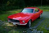 Ford Mustang Oldtimer - gebrauchte Ford Mustang aus dem Jahr 1967
