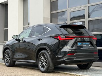 Lexus NX 350h - 6