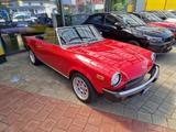 Fiat 124 Pininfarina Eurospider  - Fiat: Pininfarina